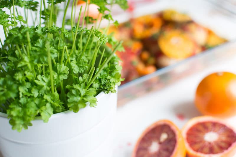 The Top 5 Foods I Use to Help Me If I Get Sick